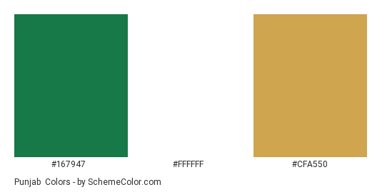 Punjab & Sind Bank Logo - Color scheme palette thumbnail - #167947 #ffffff #cfa550 