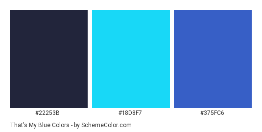 That’s My Blue - Color scheme palette thumbnail - #22253b #18d8f7 #375fc6 