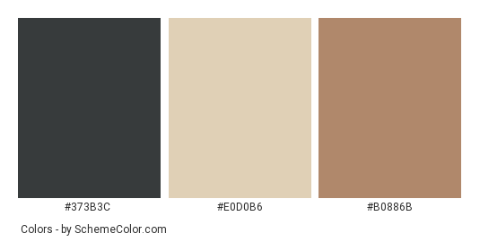Indian Cow - Color scheme palette thumbnail - #373B3C #E0D0B6 #B0886B 