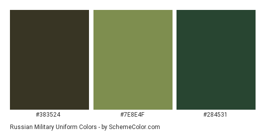 Russian Military Uniform - Color scheme palette thumbnail - #383524 #7E8E4F #284531 