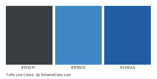 Tufts Live - Color scheme palette thumbnail - #393E41 #3F88C5 #235EA4 