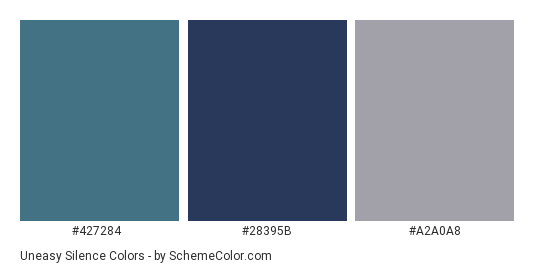 Uneasy Silence - Color scheme palette thumbnail - #427284 #28395B #A2A0A8 