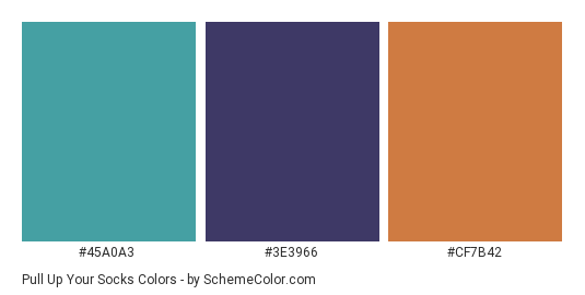 Pull Up Your Socks - Color scheme palette thumbnail - #45A0A3 #3E3966 #CF7B42 