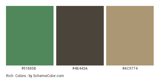 Rich & Earthy - Color scheme palette thumbnail - #51885b #4b443a #ac9774 
