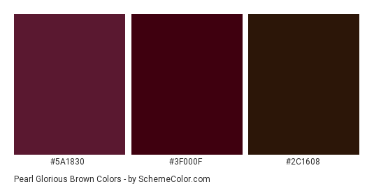 Pearl Glorious Brown - Color scheme palette thumbnail - #5A1830 #3F000F #2C1608 