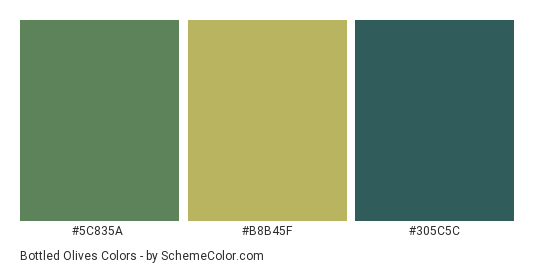 Bottled Olives - Color scheme palette thumbnail - #5C835A #B8B45F #305C5C 