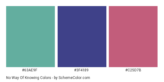 No Way of Knowing - Color scheme palette thumbnail - #63AE9F #3F4189 #C25D7B 