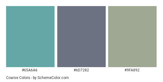 Coarse - Color scheme palette thumbnail - #65A6A6 #6D7282 #9FA892 