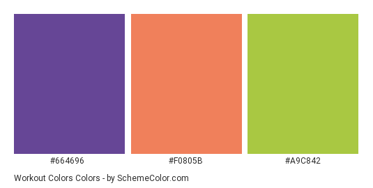 Workout Colors - Color scheme palette thumbnail - #664696 #f0805b #a9c842 