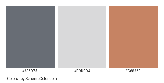 Contemporary villa - Color scheme palette thumbnail - #686D75 #D9D9DA #C68363 