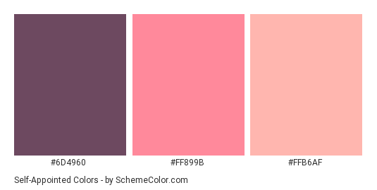 Self-Appointed - Color scheme palette thumbnail - #6D4960 #FF899B #FFB6AF 