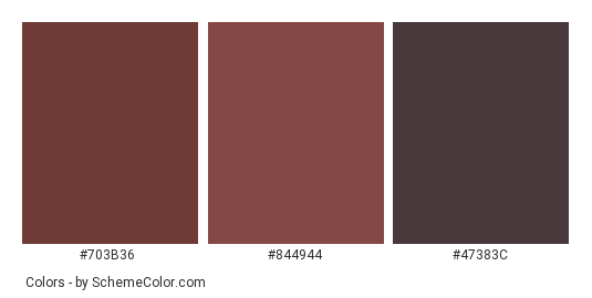 Brown Leather Gloves - Color scheme palette thumbnail - #703b36 #844944 #47383c 