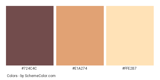 Luxury House Exterior - Color scheme palette thumbnail - #724c4c #e1a274 #ffe2b7 