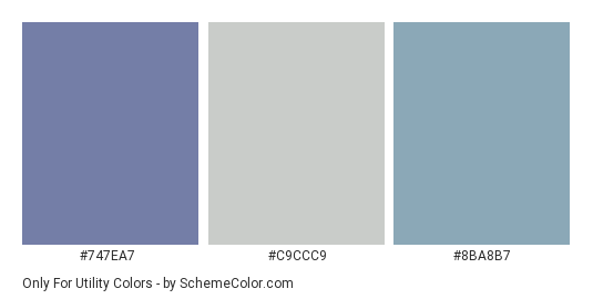 Only for Utility - Color scheme palette thumbnail - #747ea7 #c9ccc9 #8ba8b7 