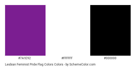 Lesbian Feminist Pride Flag Colors - Color scheme palette thumbnail - #7A1E92 #FFFFFF #000000 