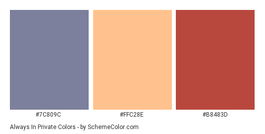 Always in Private - Color scheme palette thumbnail - #7C809C #FFC28E #B8483D 