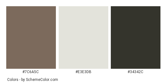 Dark Exterior Paint Color Scheme Idea - Color scheme palette thumbnail - #7c6a5c #e3e3db #34342c 