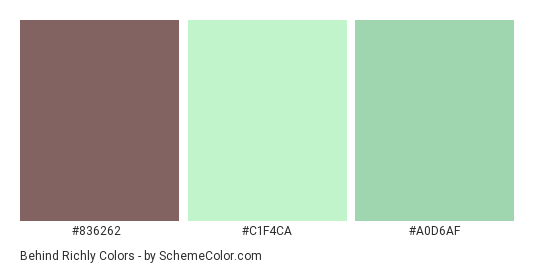 Behind Richly - Color scheme palette thumbnail - #836262 #c1f4ca #a0d6af 