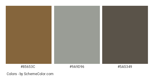 Rocky Wall - Color scheme palette thumbnail - #85653c #9a9d96 #5a5349 
