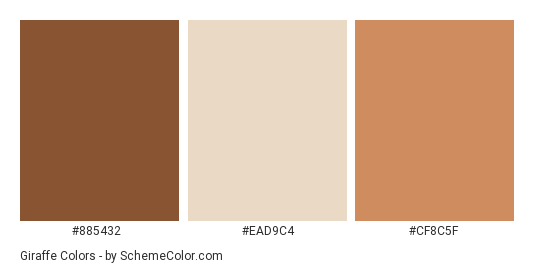 Giraffe - Color scheme palette thumbnail - #885432 #ead9c4 #cf8c5f 