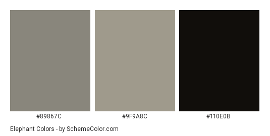 Elephant - Color scheme palette thumbnail - #89867c #9f9a8c #110e0b 