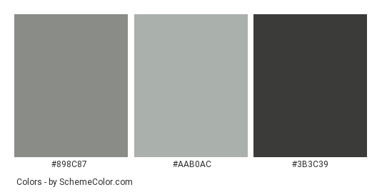 Mountain Haze - Color scheme palette thumbnail - #898C87 #AAB0AC #3B3C39 