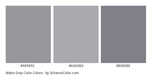Matte Gray Color - Color scheme palette thumbnail - #98989c #a9a9b0 #808088 