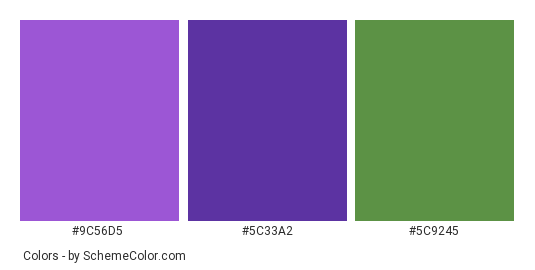 Life After Winter - Color scheme palette thumbnail - #9C56D5 #5C33A2 #5C9245 