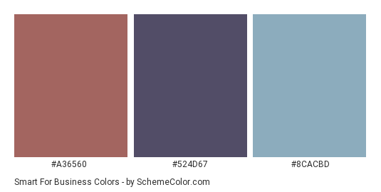 Smart for Business - Color scheme palette thumbnail - #A36560 #524D67 #8CACBD 