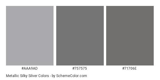 Metallic Silky Silver - Color scheme palette thumbnail - #AAA9AD #757575 #71706E 