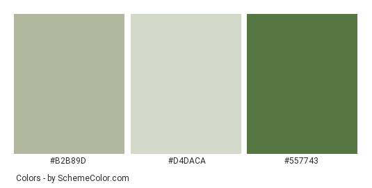 Lily of the Valley - Color scheme palette thumbnail - #B2B89D #D4DACA #557743 