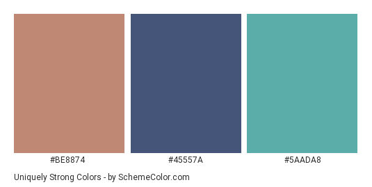 Uniquely Strong - Color scheme palette thumbnail - #BE8874 #45557A #5AADA8 