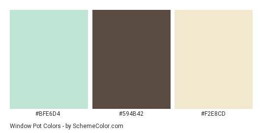 Window Pot - Color scheme palette thumbnail - #BFE6D4 #594B42 #F2E8CD 