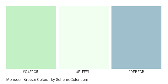 Monsoon Breeze - Color scheme palette thumbnail - #C4F0C5 #F1FFF1 #9EBFCB 