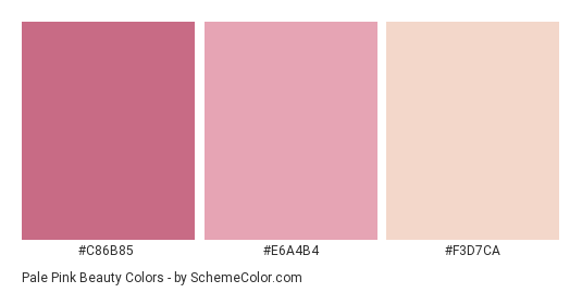 Pale Pink Beauty Color Scheme » Pink » SchemeColor.com