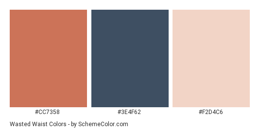 Wasted Waist - Color scheme palette thumbnail - #CC7358 #3E4F62 #F2D4C6 