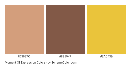 Moment of Expression - Color scheme palette thumbnail - #D39E7C #825947 #EAC43B 