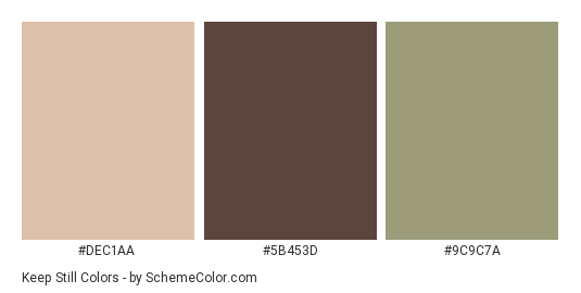 Keep Still - Color scheme palette thumbnail - #DEC1AA #5B453D #9C9C7A 
