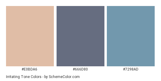 Irritating Tone - Color scheme palette thumbnail - #E0BDA6 #666D80 #7298AD 