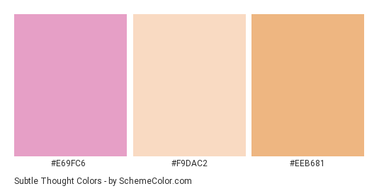 Subtle Thought - Color scheme palette thumbnail - #E69FC6 #F9DAC2 #EEB681 