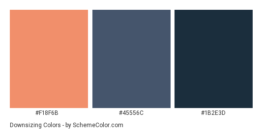 Downsizing - Color scheme palette thumbnail - #F18F6B #45556C #1B2E3D 