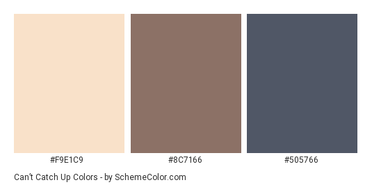 Can’t Catch Up - Color scheme palette thumbnail - #F9E1C9 #8C7166 #505766 