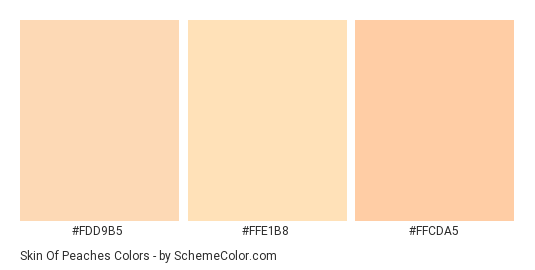 Skin Of Peaches Color Scheme Peach Schemecolor Com - skin color for roblox