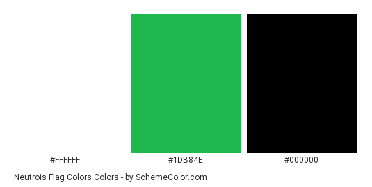 Neutrois Flag Colors - Color scheme palette thumbnail - #FFFFFF #1db84e #000000 
