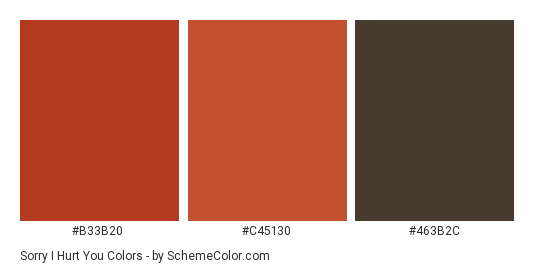 Sorry I Hurt You - Color scheme palette thumbnail - #b33b20 #c45130 #463b2c 