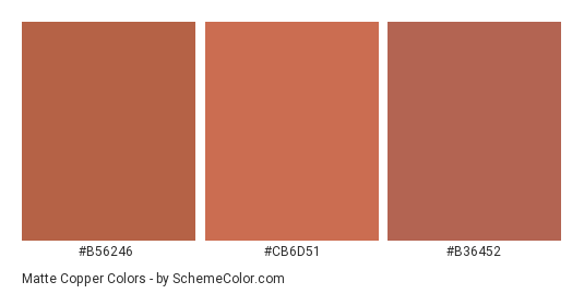 Matte Copper - Color scheme palette thumbnail - #b56246 #cb6d51 #b36452 