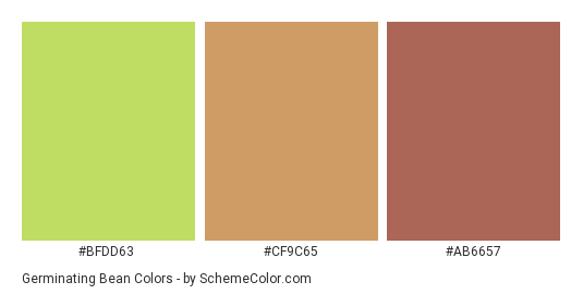 Germinating Bean - Color scheme palette thumbnail - #bfdd63 #cf9c65 #ab6657 