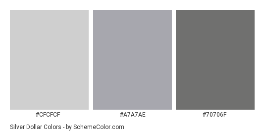 Silver Dollar - Color scheme palette thumbnail - #cfcfcf #a7a7ae #70706f 