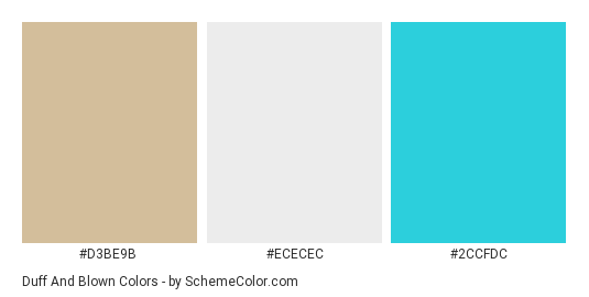 Duff and Blown - Color scheme palette thumbnail - #d3be9b #ececec #2ccfdc 