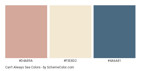 Can’t Always See - Color scheme palette thumbnail - #d4a89a #f3e8d2 #4a6a81 